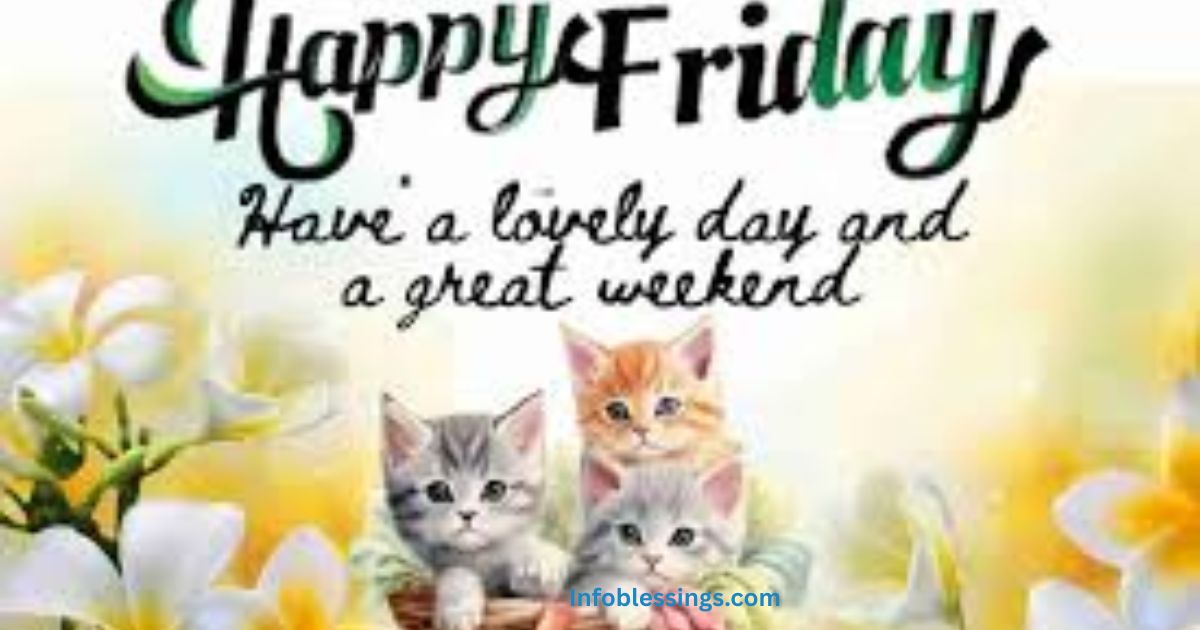 Cute and Funny Friday Blessings