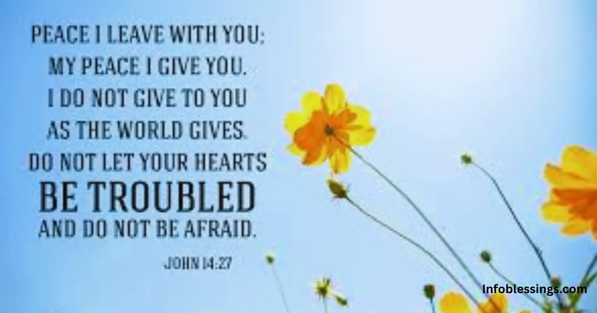 Bible Verses About Peace and Comfort