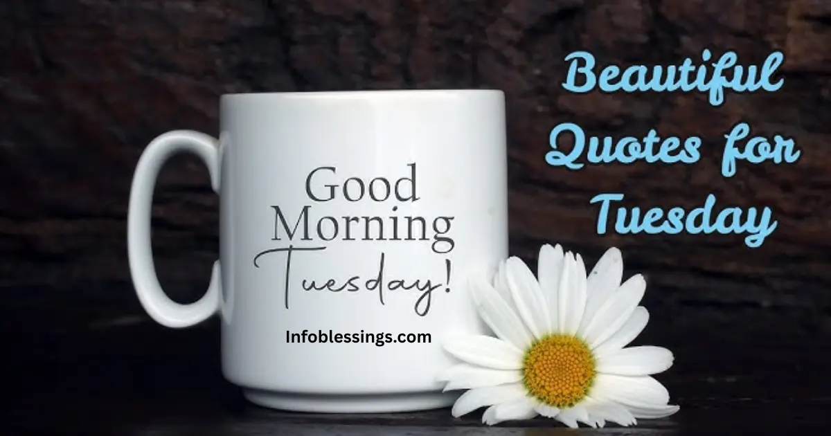 Positive good morning Tuesday quotes to start your day with happiness, motivation, and positive energy for work and success.
