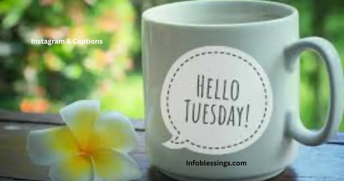 Short Positive Tuesday Quotes (Perfect for Instagram & Captions)