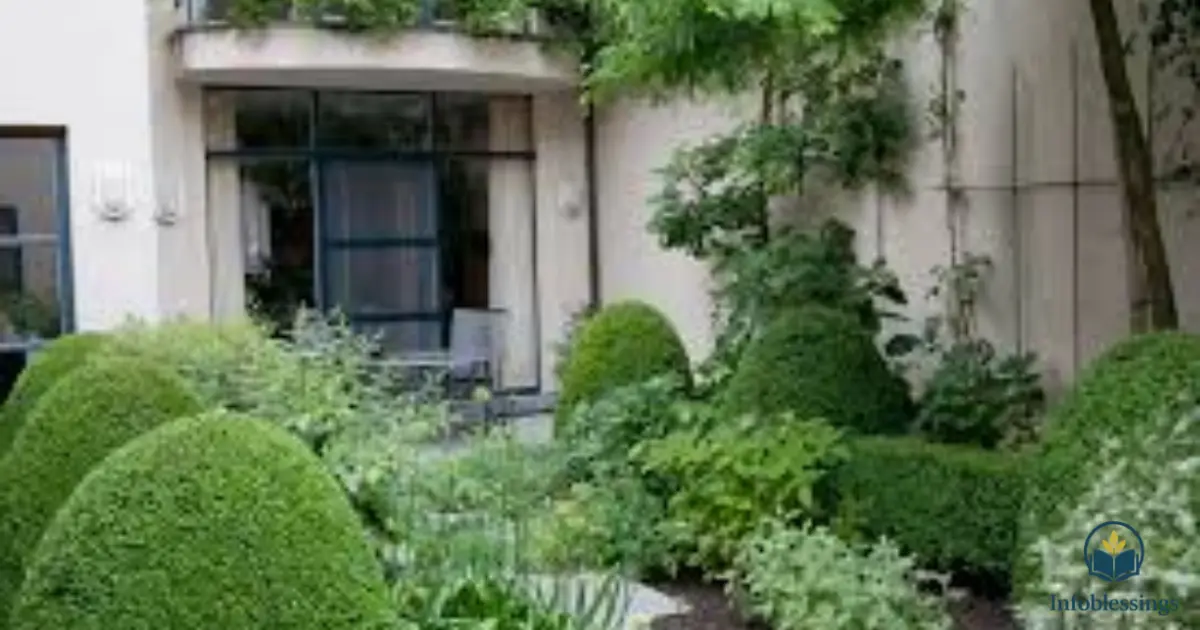 Best Plants for a Small Home Terrace Garden (Low Maintenance & Climate Friendly)