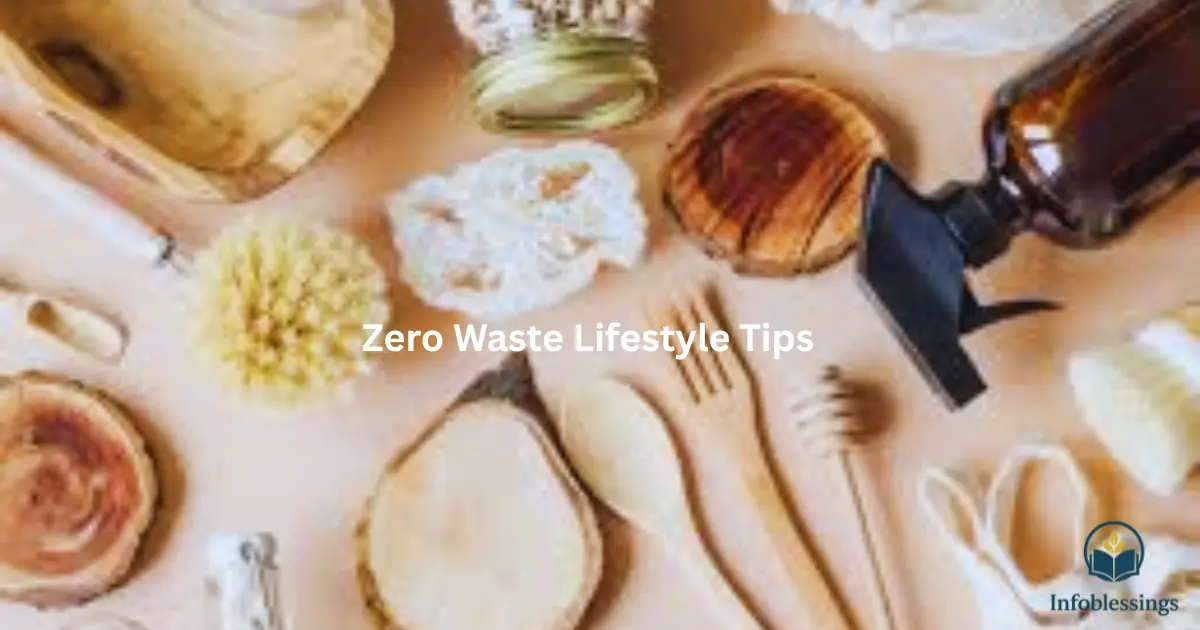 Zero Waste Lifestyle Tips for Kitchen, Bathroom & Office