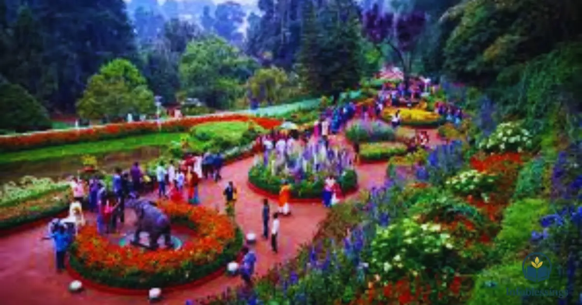 Best Time to Visit Botanical Garden Ooty