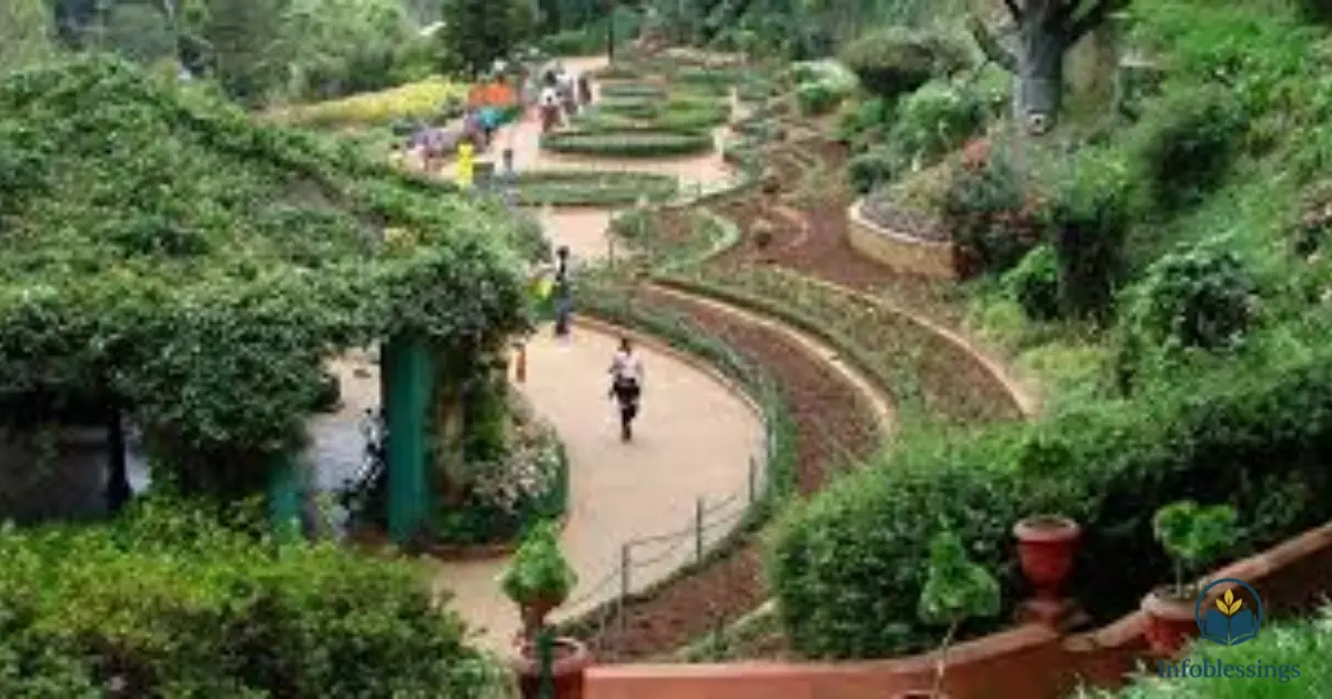 Exploring the Plant Collections at Botanical Garden Ooty