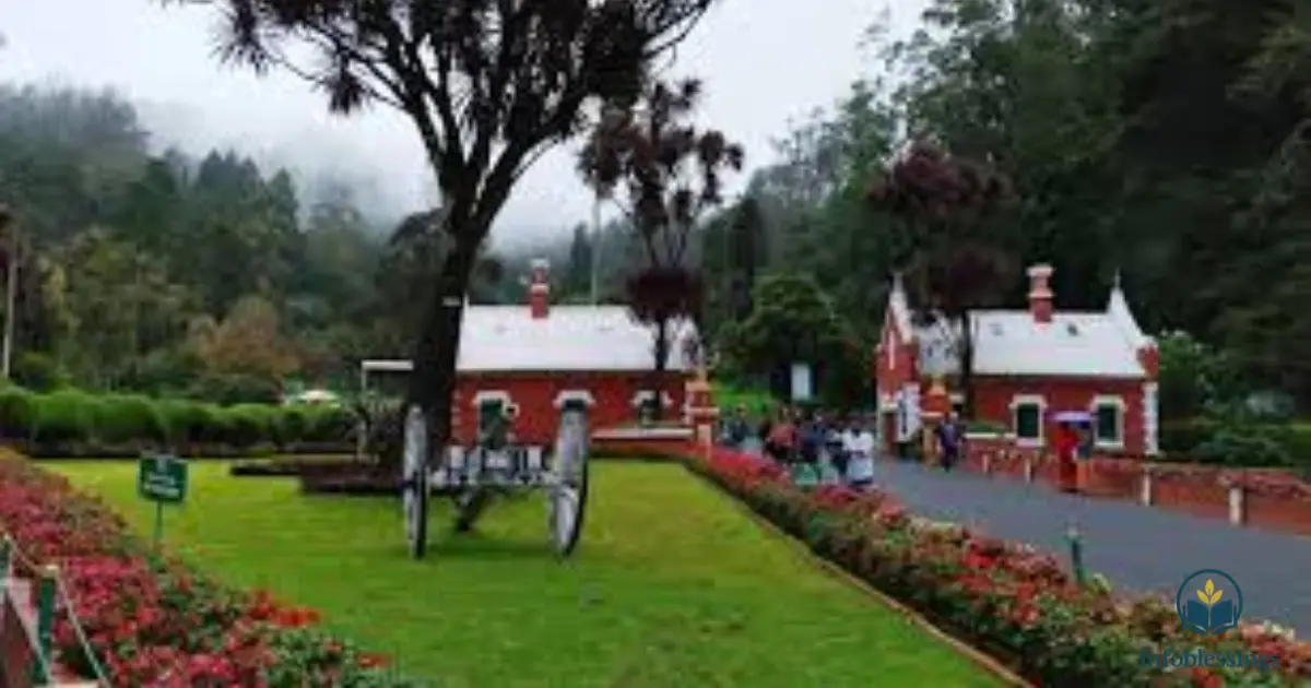Guided Tours and Educational Programs at Botanical Garden Ooty