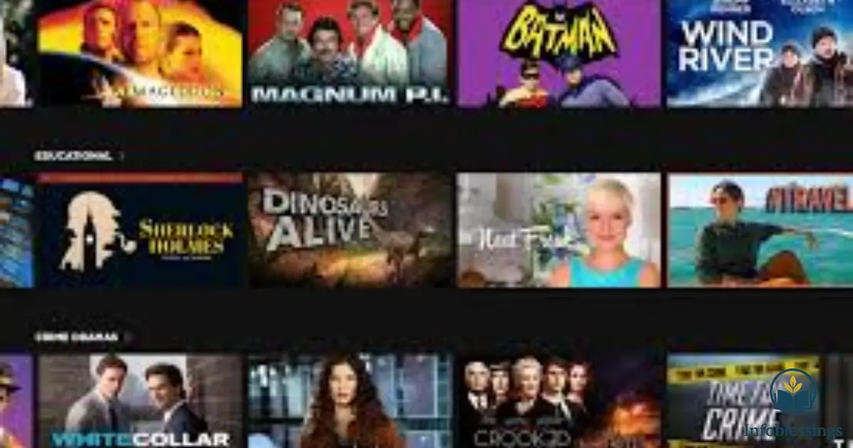 RidoMovies Channels and Available Movie Types