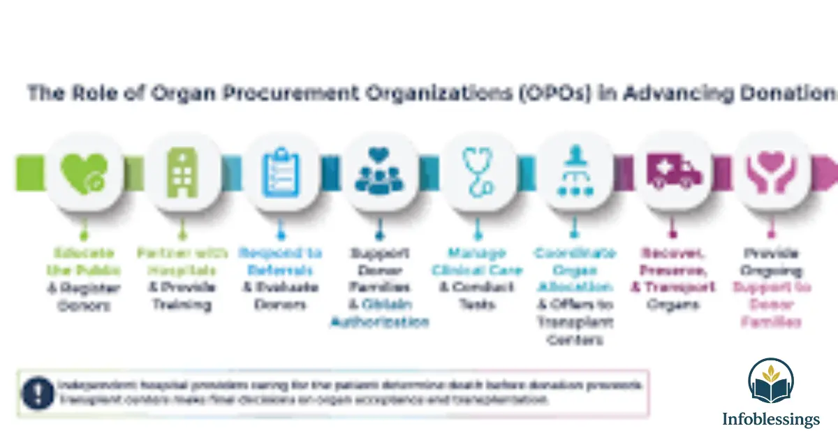 Role of OPOs in the U.S. Organ Donation Process