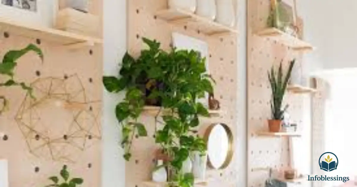 DIY Economy Home Decor Projects Anyone Can Do