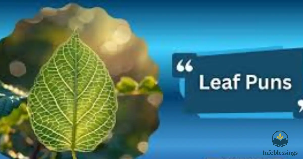 100+ Funny Leaf Puns